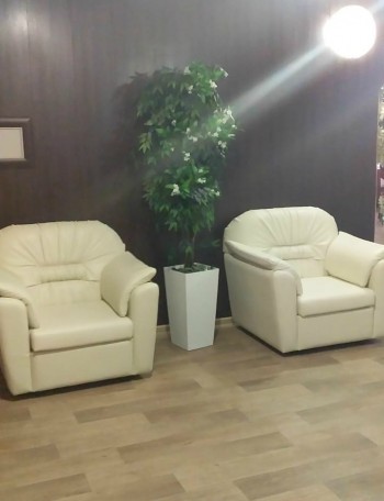 Кресло Премьер в Барабинске - barabinsk.mebel54.com | фото